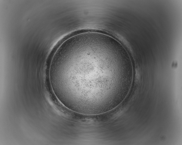 X0000111940580200907271415