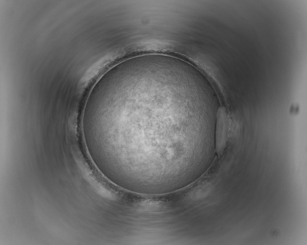 X0000111940581200907271415