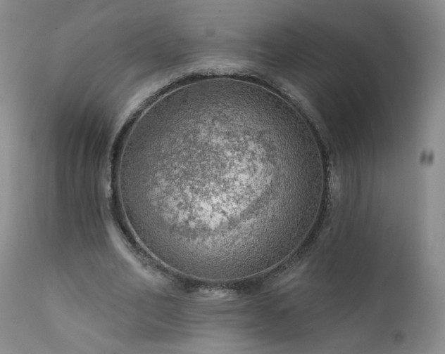 X0000111940582200907271415