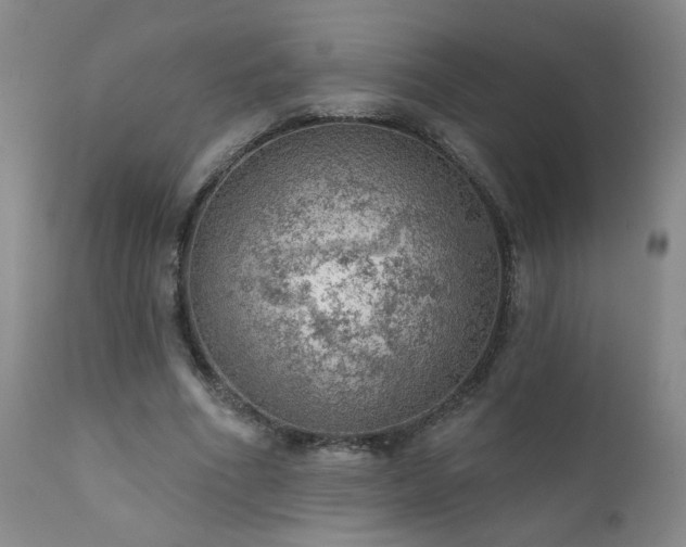 X0000111940586200907271415