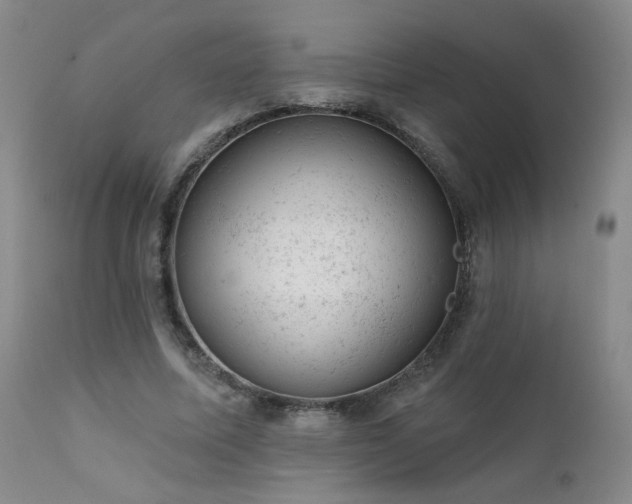 X0000111940587200907271415