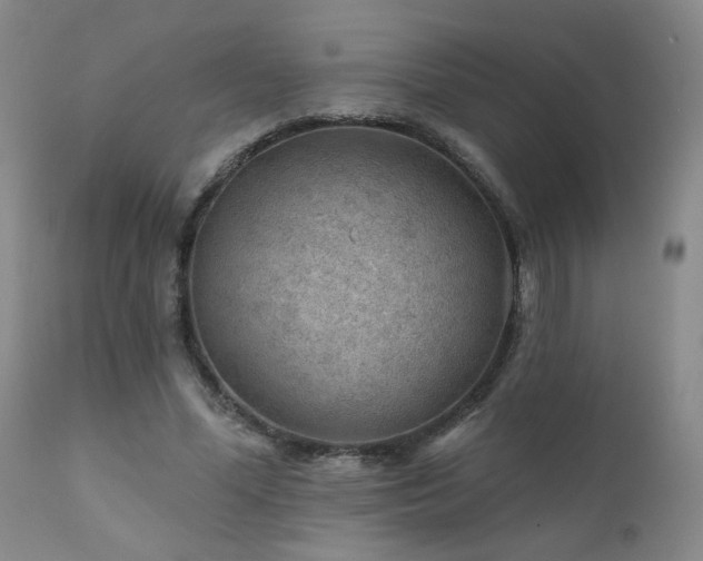 X0000111940588200907271415