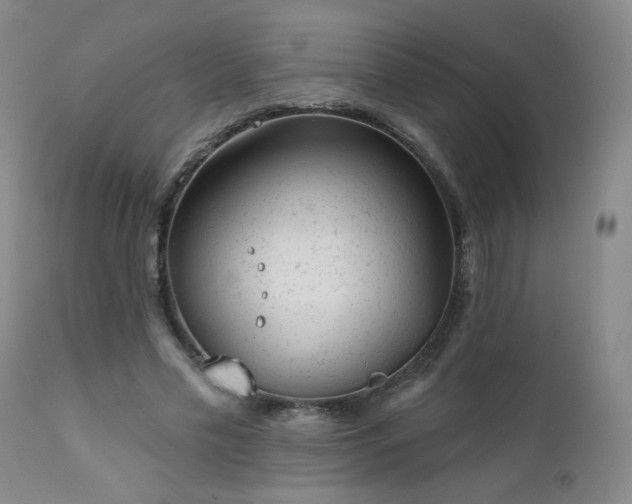 X0000111940589200907271415