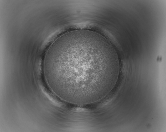 X0000111940590200907271415