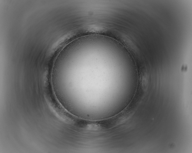 X0000111940591200907271415