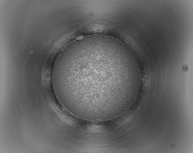 X0000111940593200907271415