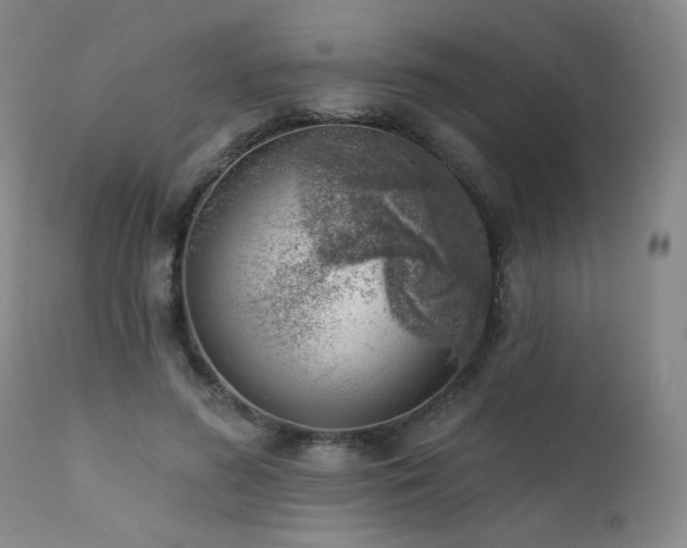 X0000111940596200907271415