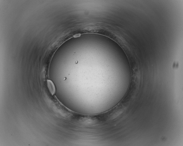 X0000111940597200907271415