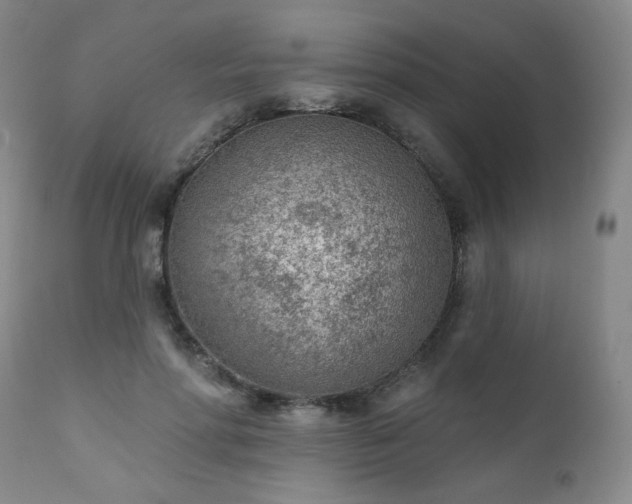 X0000111940598200907271415