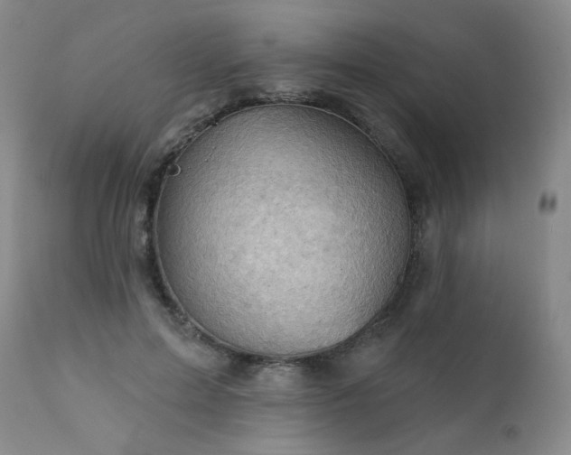 X0000111940599200907271415