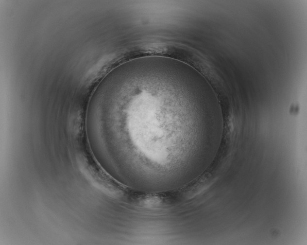 X0000111940600200907271415