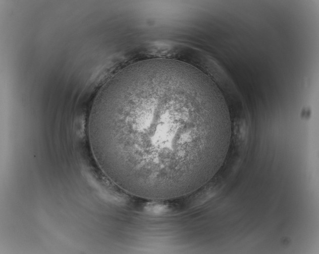 X0000111940602200907271415