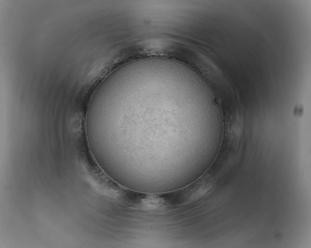 X0000111940603200907271415