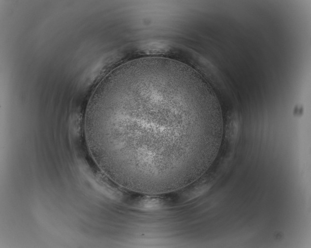 X0000111940604200907271415