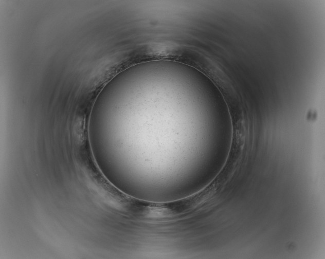 X0000111940605200907271415