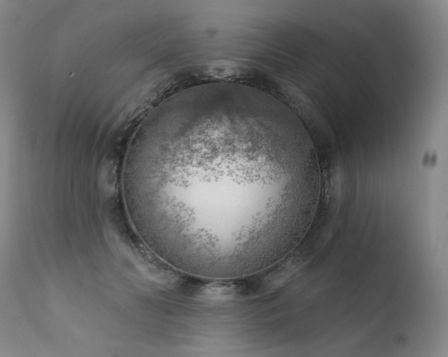 X0000111940606200907271415