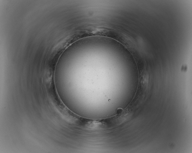 X0000111940607200907271415