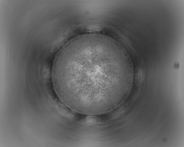 X0000111940608200907271415