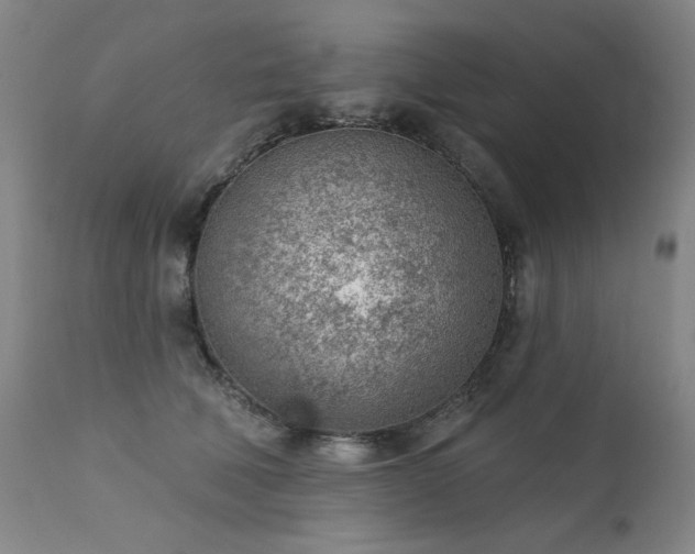 X0000111940610200907271415