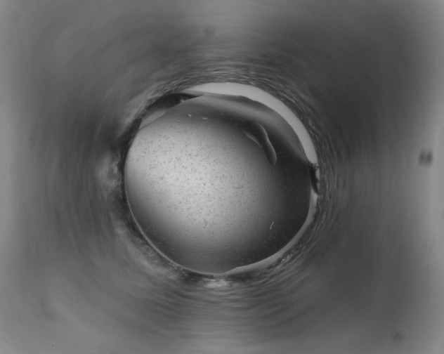 X0000111940611200907271415