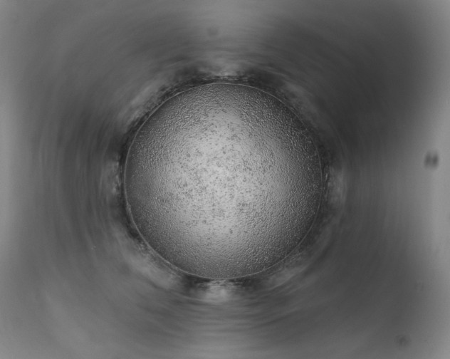 X0000111940612200907271414