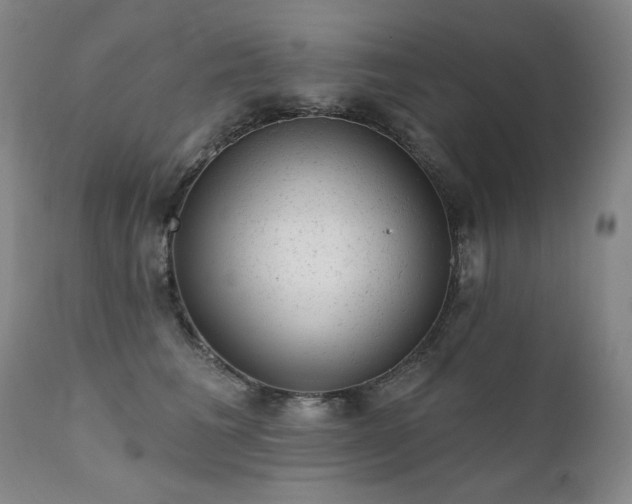 X0000111940613200907271414