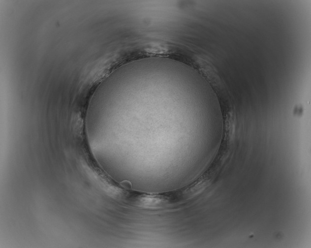 X0000111940614200907271414