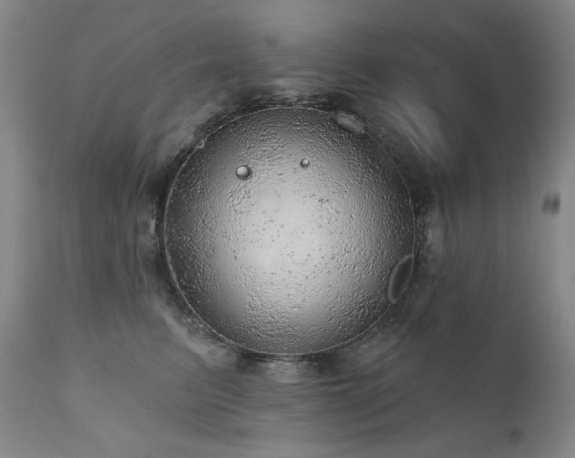 X0000111940615200907271414