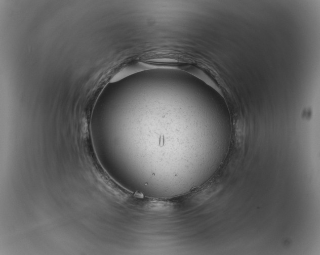 X0000111940617200907271414