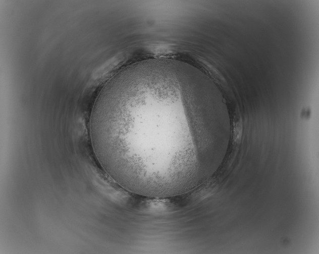 X0000111940618200907271414