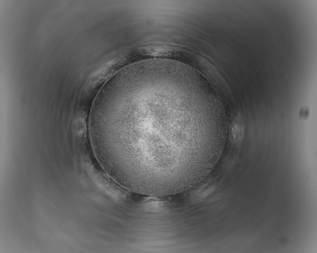 X0000111940620200907271414