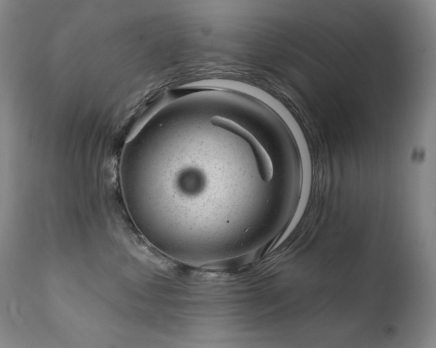 X0000111940621200907271414