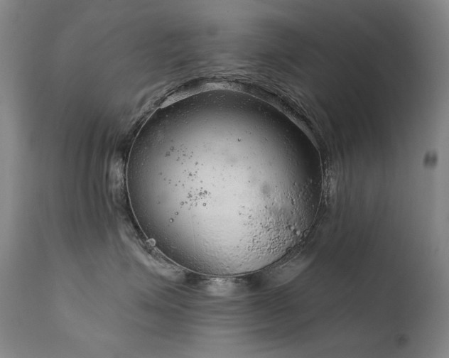 X0000111940623200907271414