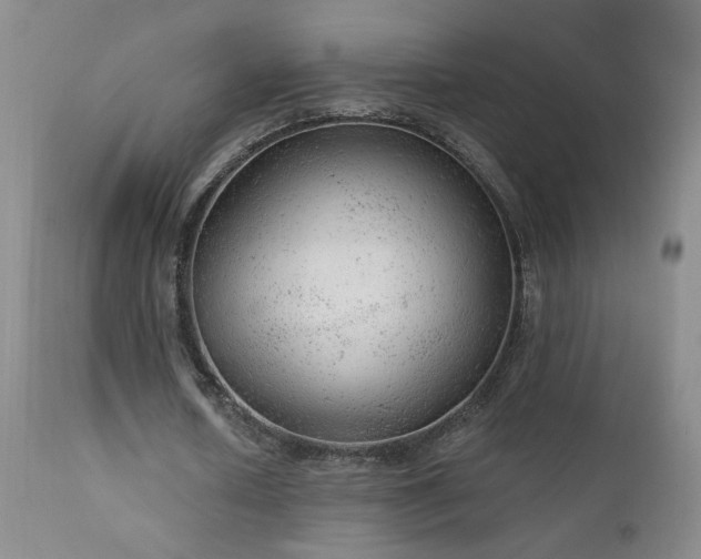 X0000111940626200907271414