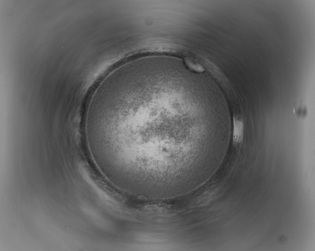 X0000111940627200907271414