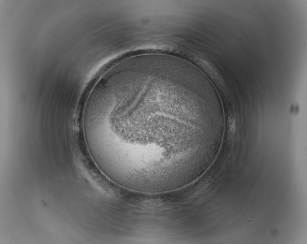 X0000111940628200907271414