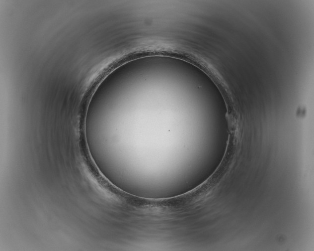 X0000111940629200907271414