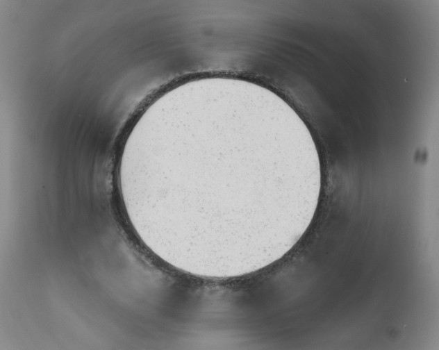 X0000111940632200907271414