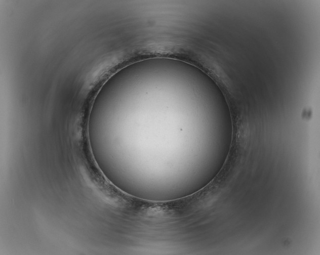 X0000111940635200907271414