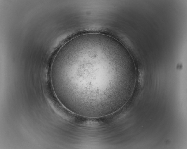 X0000111940636200907271414