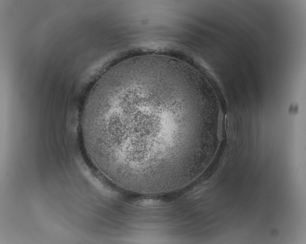 X0000111940637200907271414