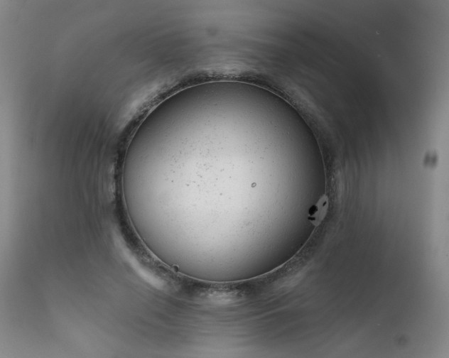 X0000111940638200907271414