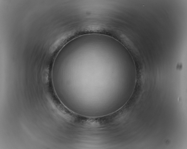 X0000111940640200907271414