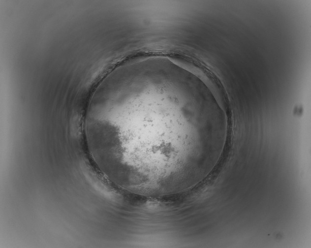 X0000111940641200907271414