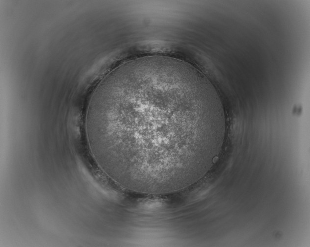 X0000111940643200907271414