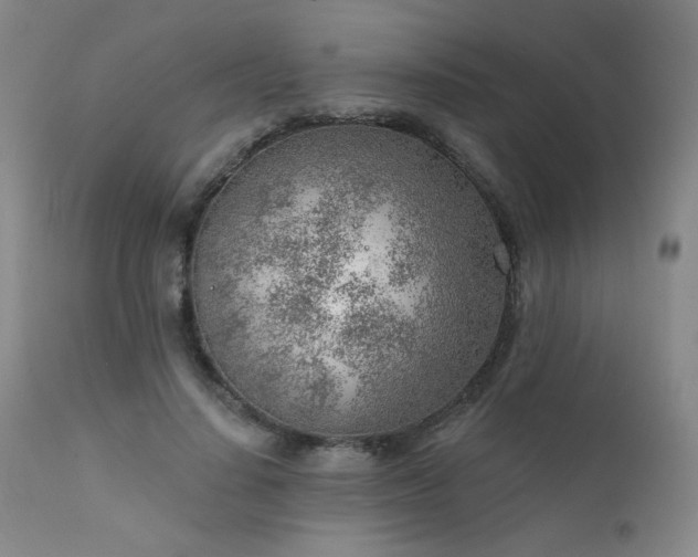 X0000111940644200907271414