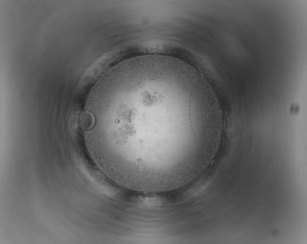 X0000111940645200907271414