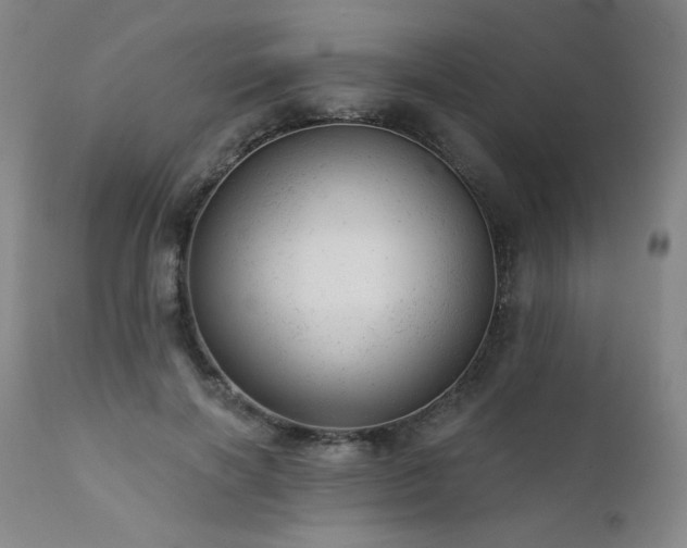 X0000111940646200907271414