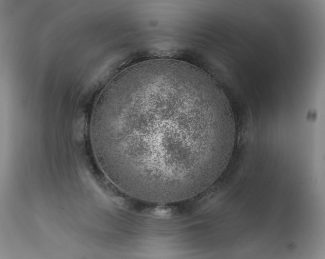 X0000111940647200907271414