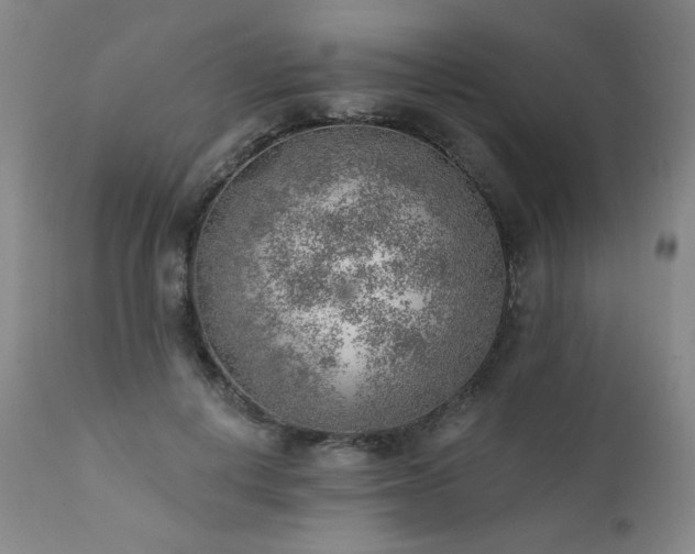 X0000111940648200907271414